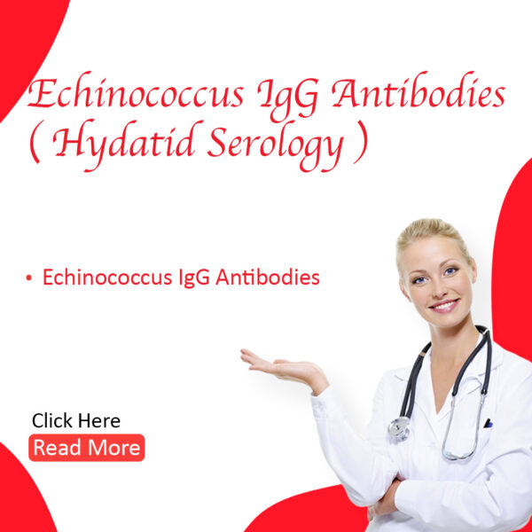 Echinococcus IgG Antibodies (Hydatid Serology)