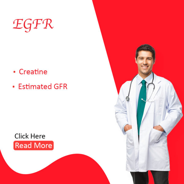 eGFR (estimated Glomerular Filtration Rate)