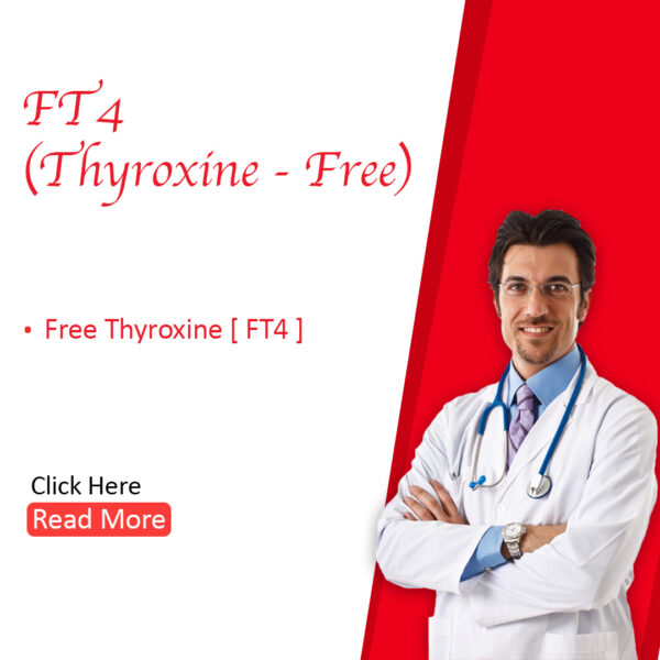 FT4 (Thyroxine- Free)