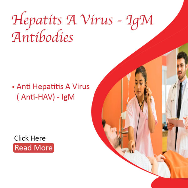 Hepatitis A virus – IgM Antibodies (HAV IgM)