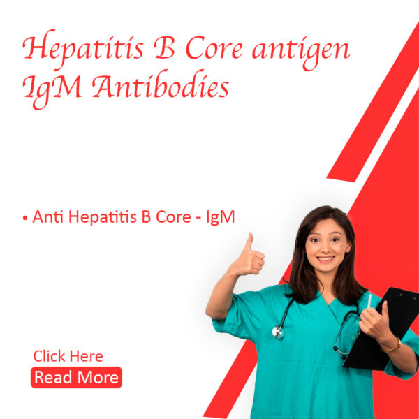 Hepatitis B core antigen –IgM Antibodies (HBC-IgM)