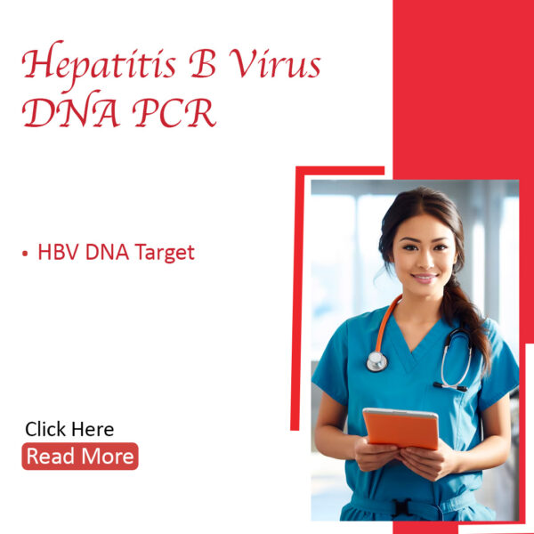 Hepatitis B Virus DNA PCR (Quantitative)