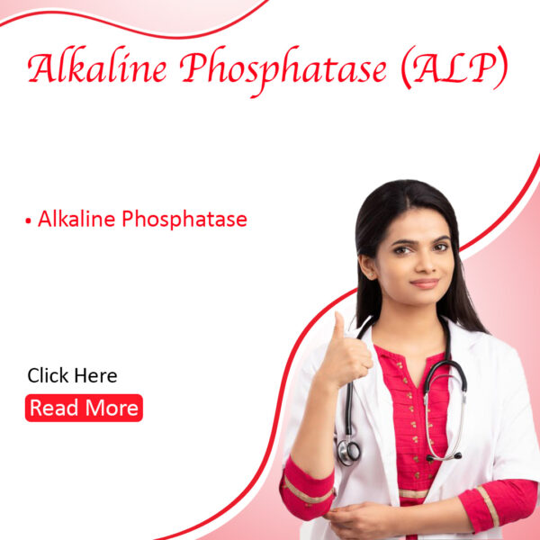 Alkaline Phosphatase (ALP)