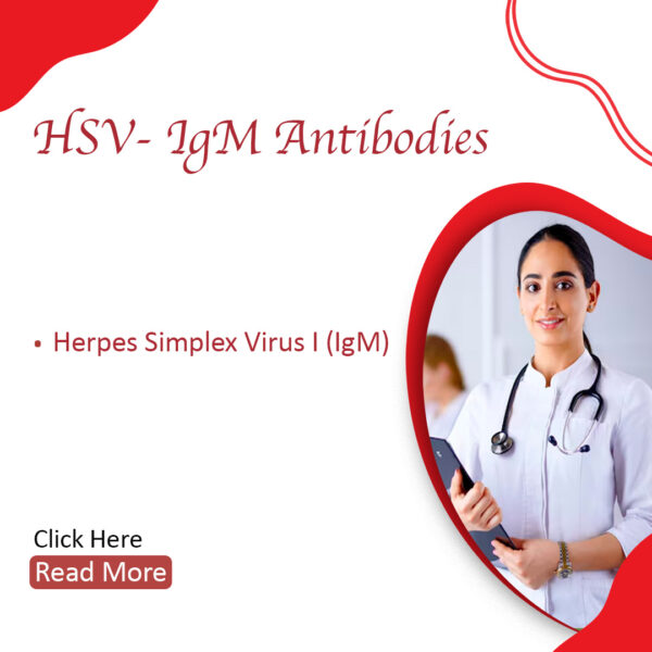 HSV-1 IgM Antibodies