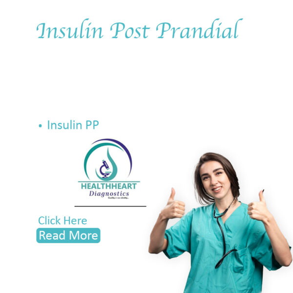 Insulin Post Prandial