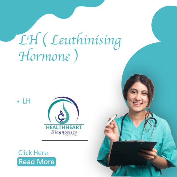 LH (Luteinizing Hormone)