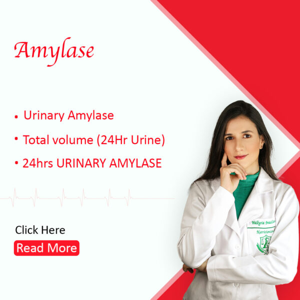 Amylase (24 hrs urine)