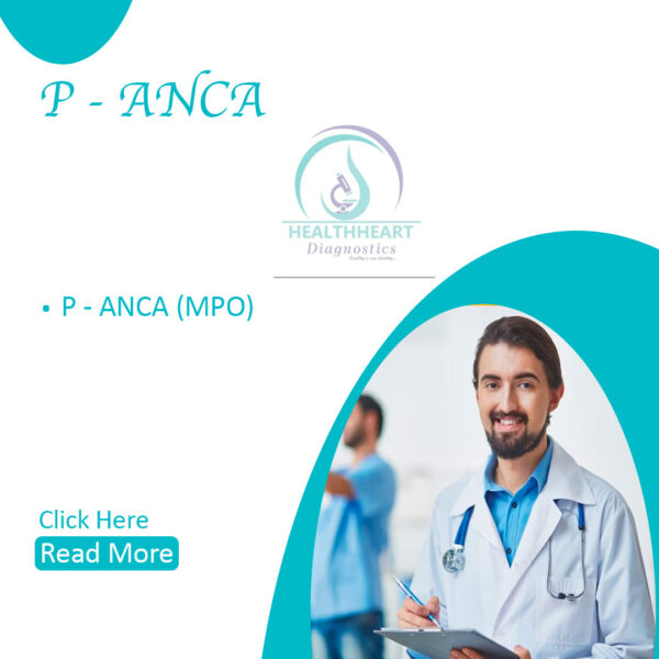 P- ANCA