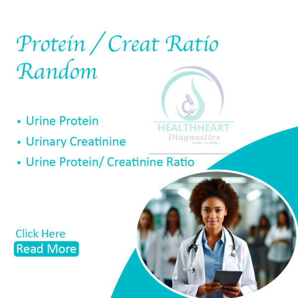 Protein /Creatinine Ratio Random