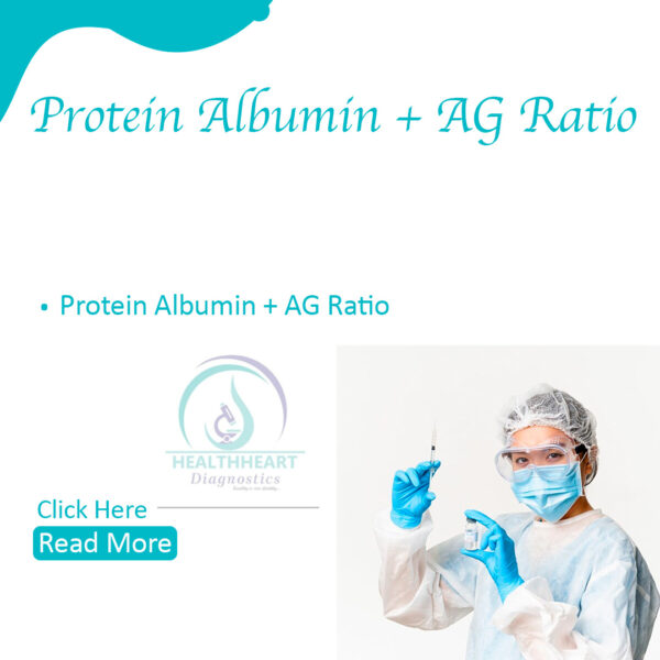 protein albumin ag ratio