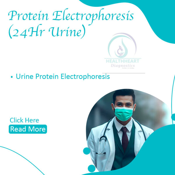 Protein Electrophoresis (24 hour Urine)