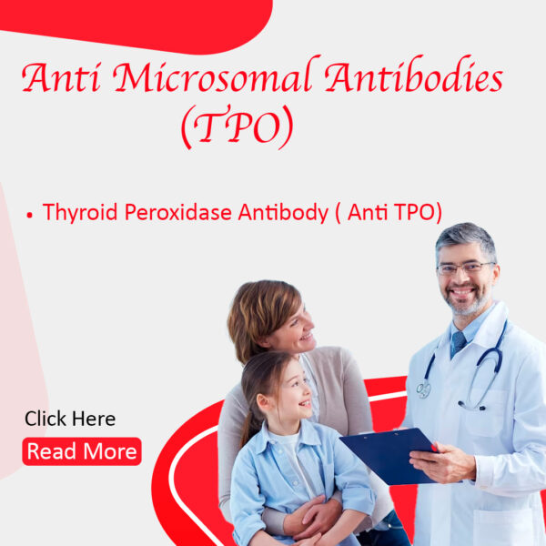 Anti Microsomal Antibodies (antithyroperoxidase) (TPO)