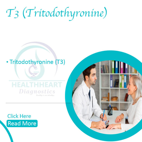 T3 (Triiodothyronine)