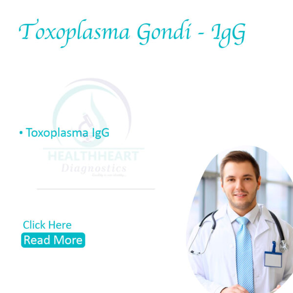 Toxoplasma gondii – IgG Antibodies