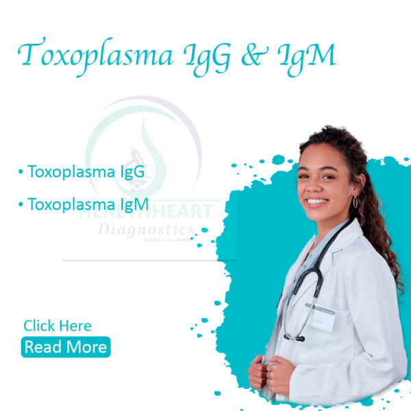 Toxoplasma IgG & IgM Antibodies