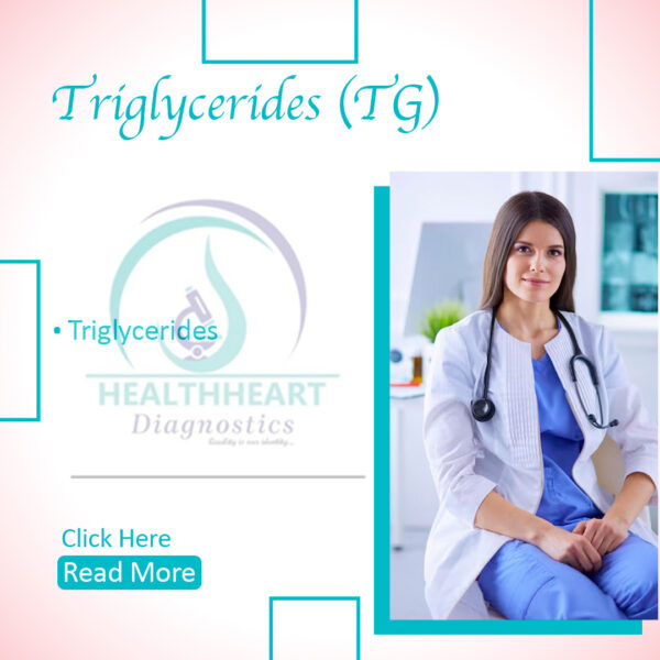 Triglycerides (TG)