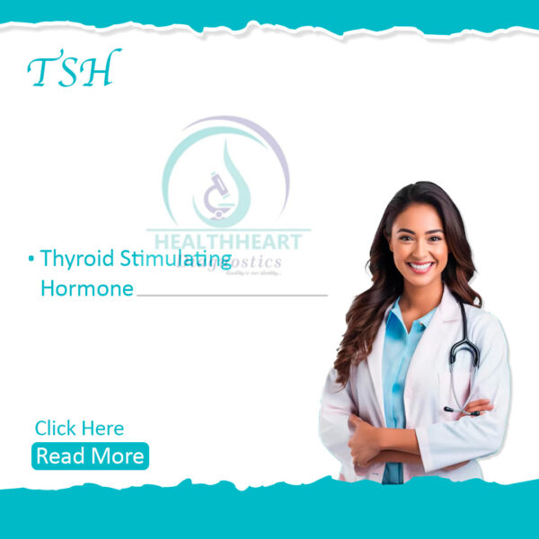 TSH (Thyroid Stimulating Hormone)