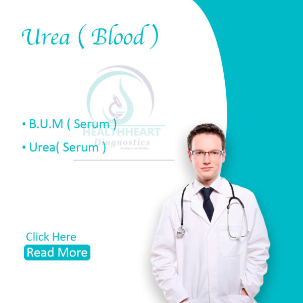 Urea (Blood)