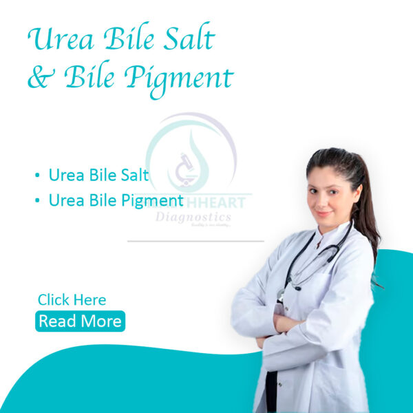 Urine Bile Salt & Bile Pigment