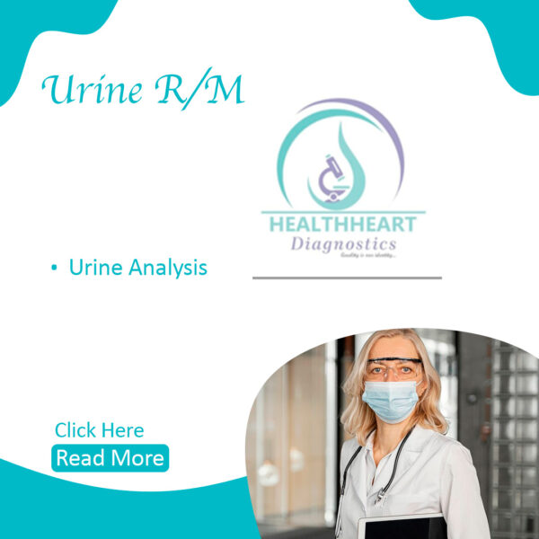 Urine R/M (Urine Analysis)