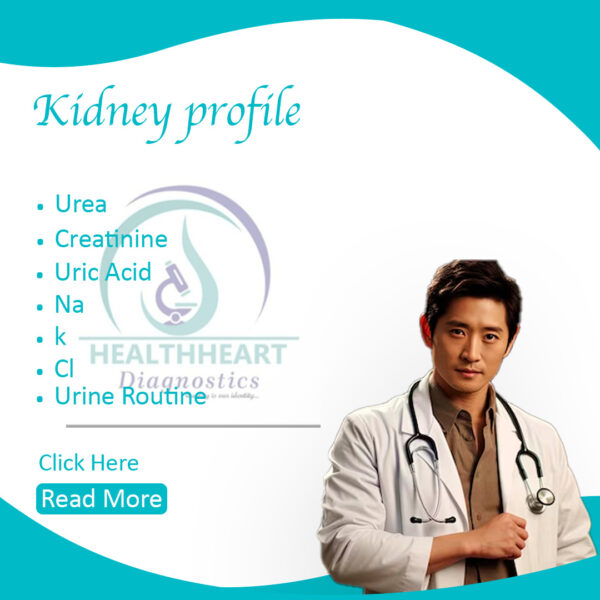 Kidney Profile