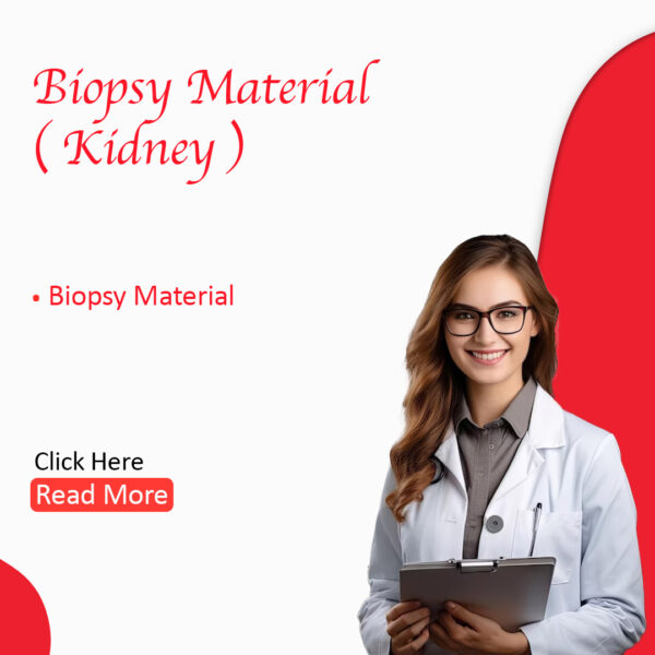 Biopsy Material (Kidney)