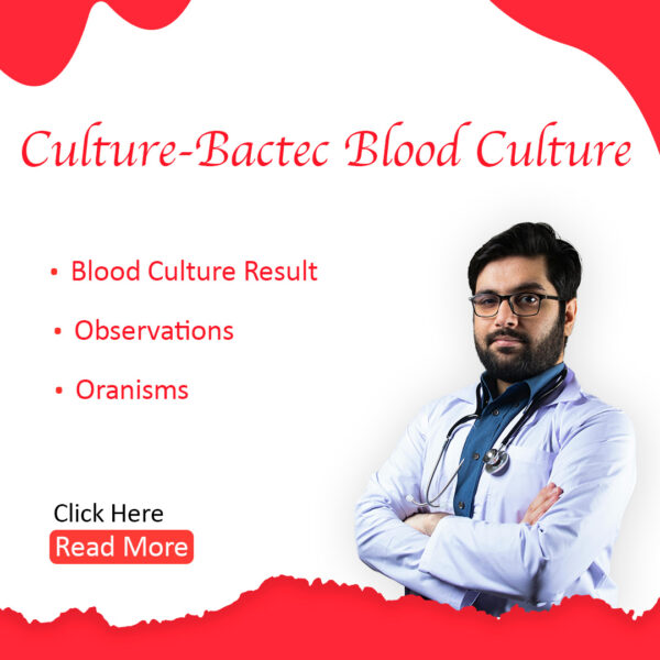 Culture - Bactec Blood Culture