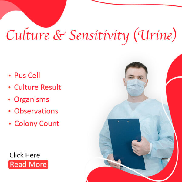 Culture & Sensitivity (Urine)