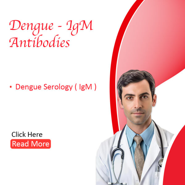 Dengue – IgM Antibodies