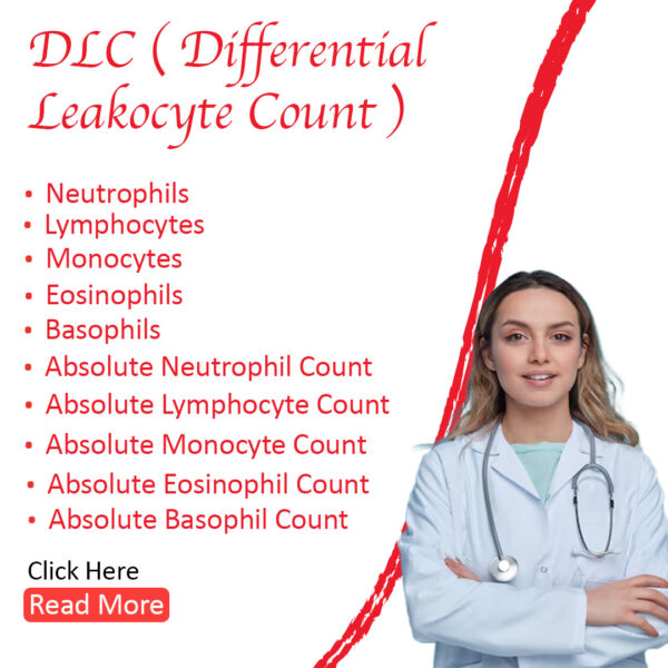 DLC (Differential Leukocyte Count)