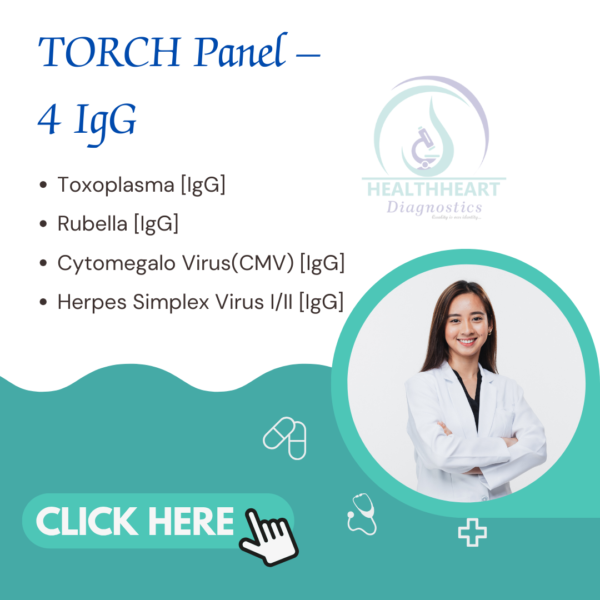 TORCH Panel – 4 IgG